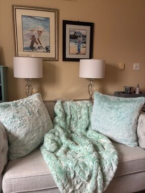 Z Gallerie Teal Faux Fur Accent Pillows & Throw Set